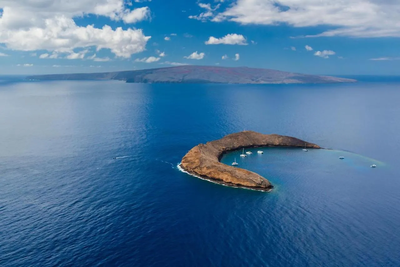 Kihei Surfside 306 Villa Wailea  United States